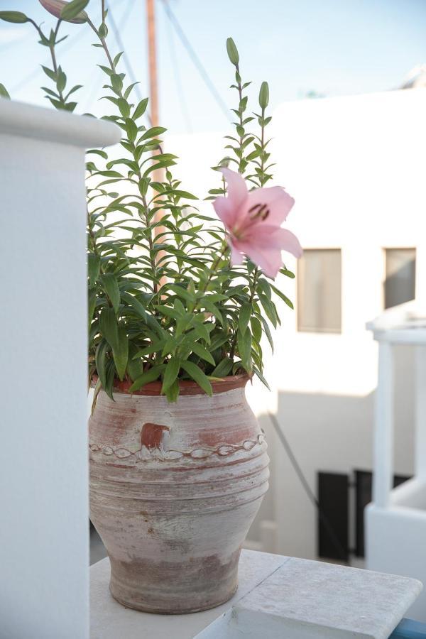 Green Loft Room In Naxos Chora Naxos City Ngoại thất bức ảnh